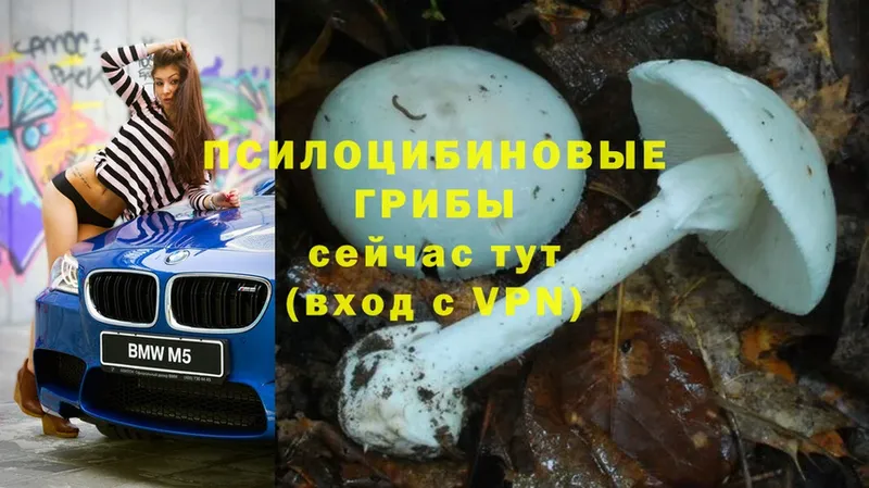 Галлюциногенные грибы Magic Shrooms  Уфа 